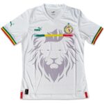 Maillot domicile de l'équipe nationale du Sénégal
