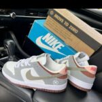 Nike SB Dunk Low Yuto Horigome