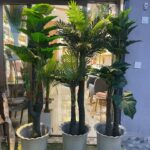 Vase - Pot de pépinière basique