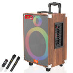 Haut-parleur Karaoke Portable – Sing-E JQS-910L JQS JSQ910L